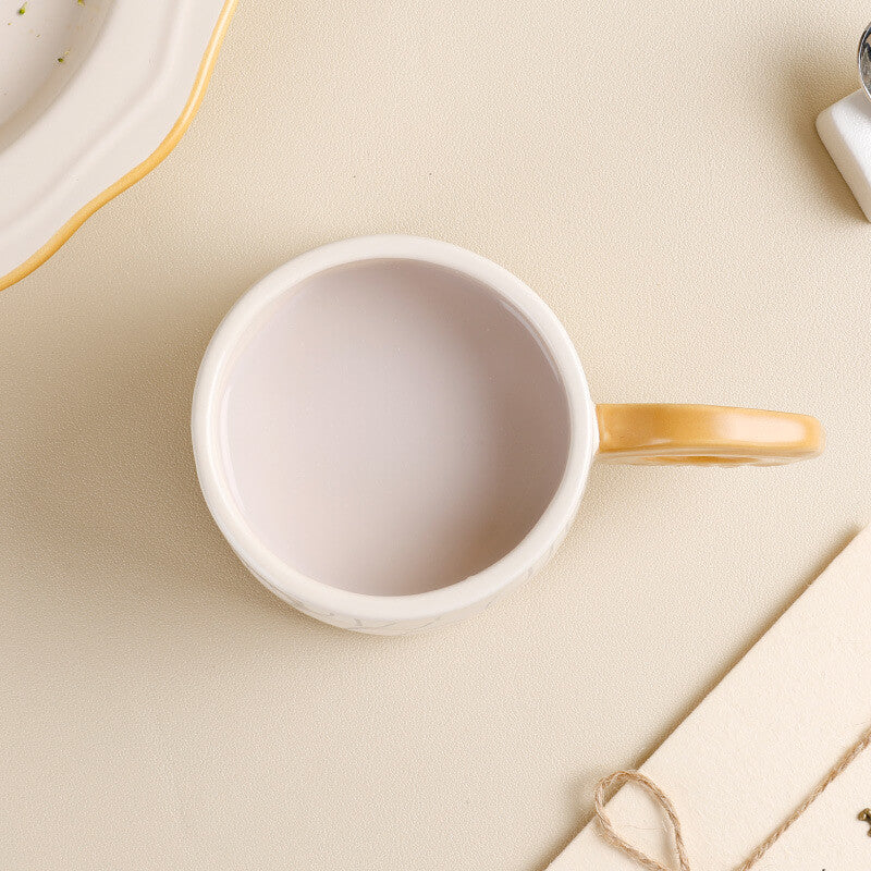 Ensemble de tasses à anneaux annuels