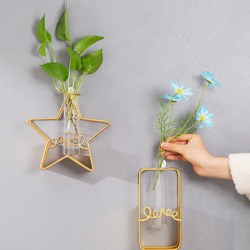 Ornements créatifs pour vases hydroponiques
