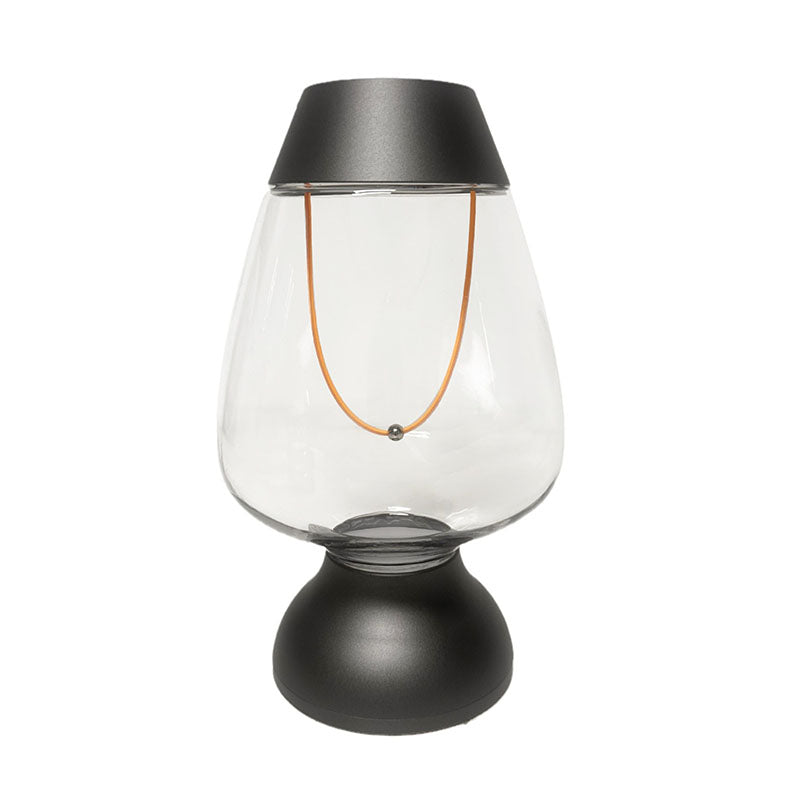 Flexible Filament Desk Lamp