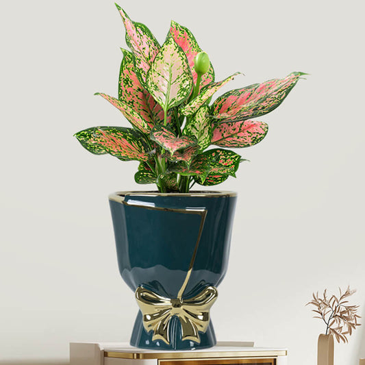 Gold Edge Bow Ceramic Vase