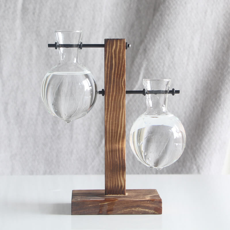 Vase en verre pour plantes hydroponiques