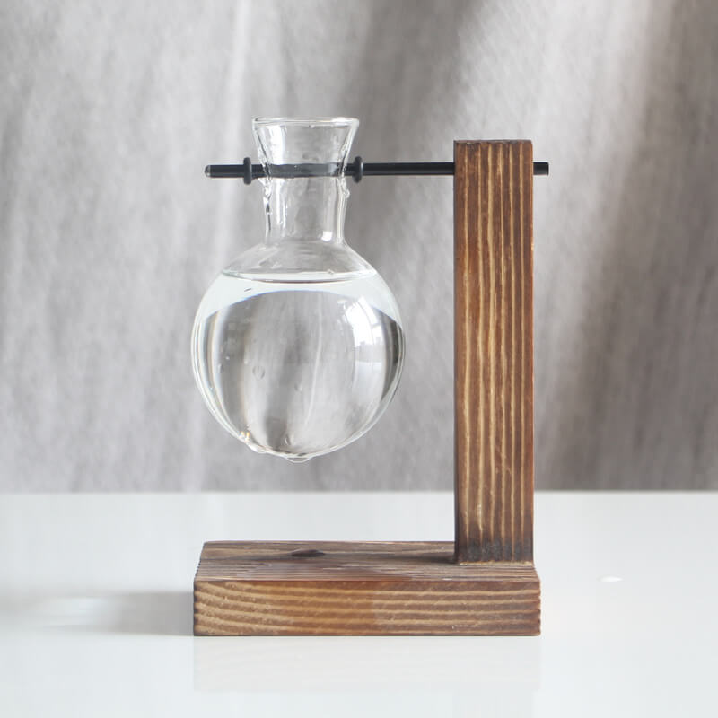 Vase en verre pour plantes hydroponiques