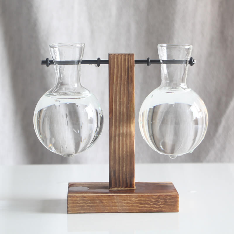 Vase en verre pour plantes hydroponiques