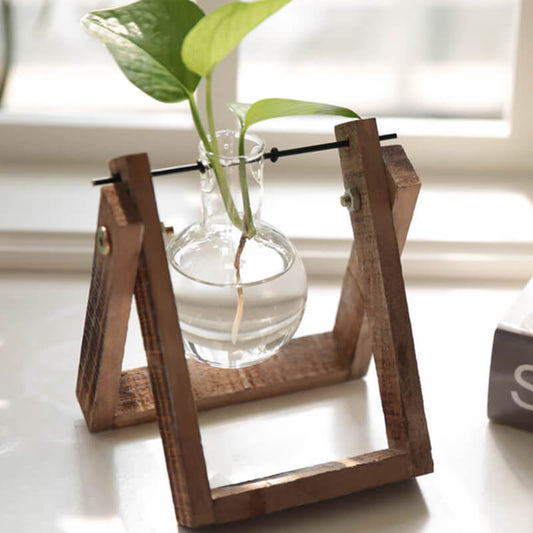 Vase en verre pour plantes hydroponiques