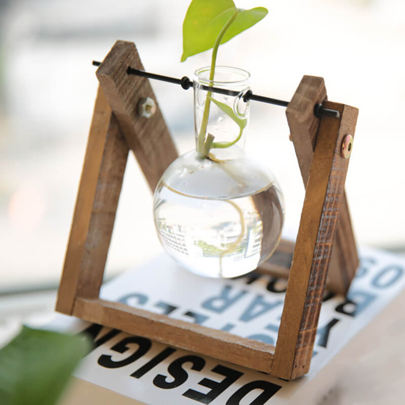 Vase en verre pour plantes hydroponiques