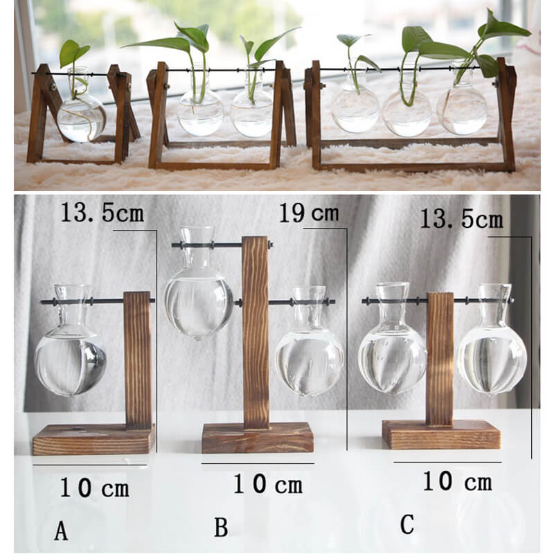 Vase en verre pour plantes hydroponiques