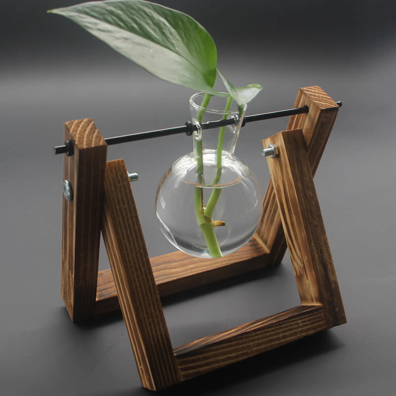 Vase en verre pour plantes hydroponiques