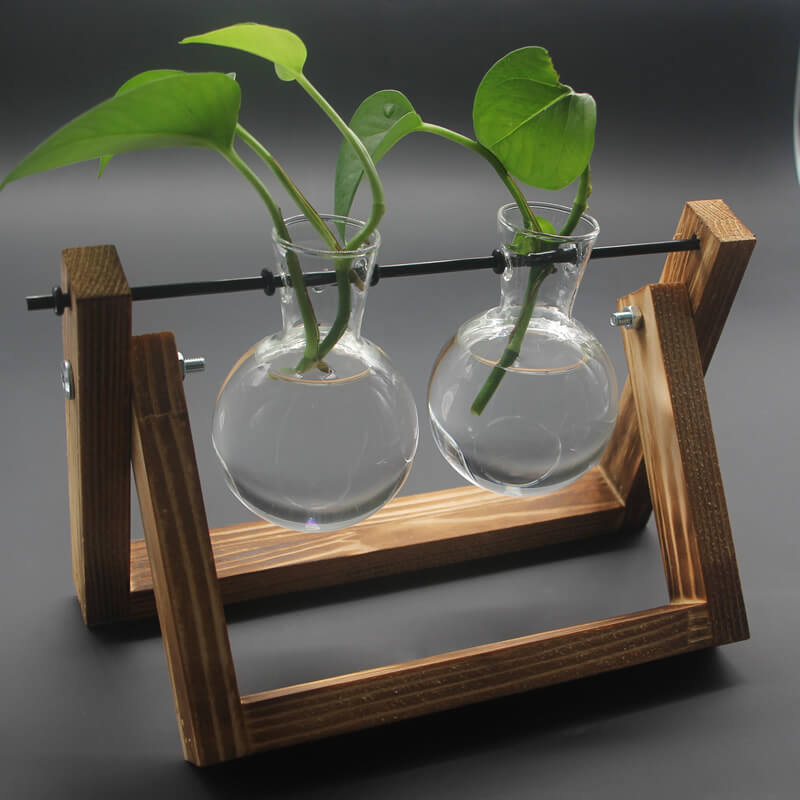 Vase en verre pour plantes hydroponiques