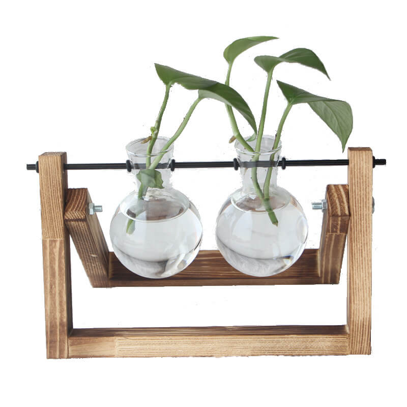 Vase en verre pour plantes hydroponiques