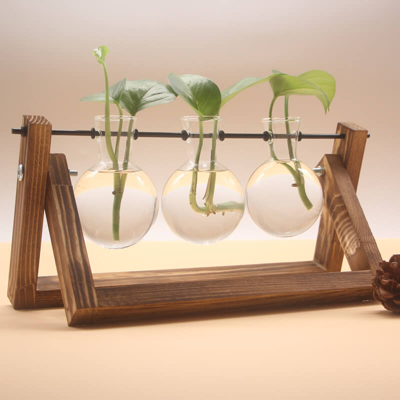 Vase en verre pour plantes hydroponiques