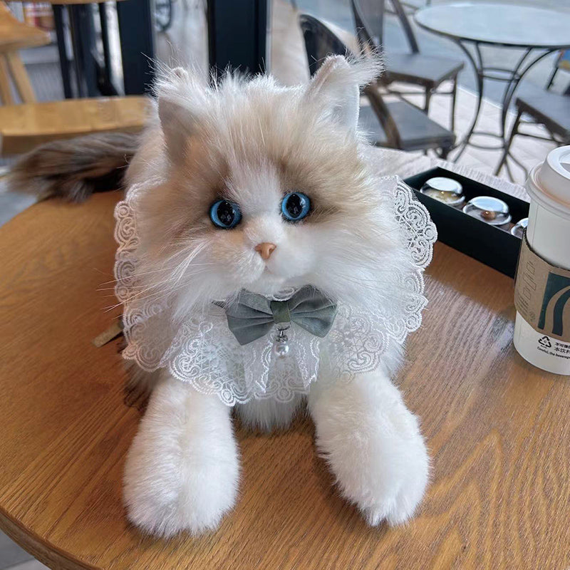 Ragdoll Cat Plush Kitten