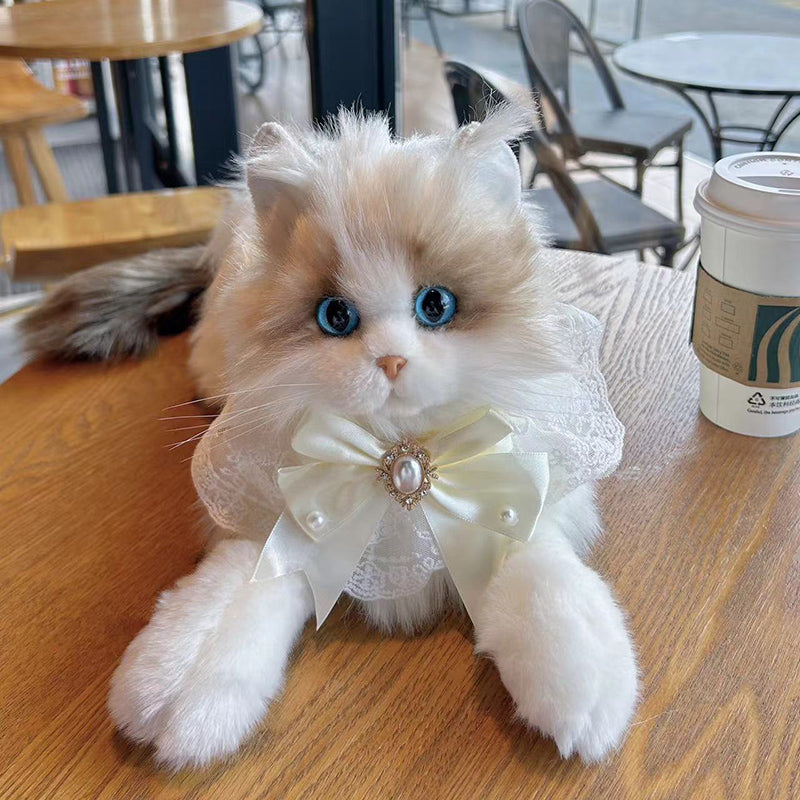 Ragdoll Cat Plush Kitten