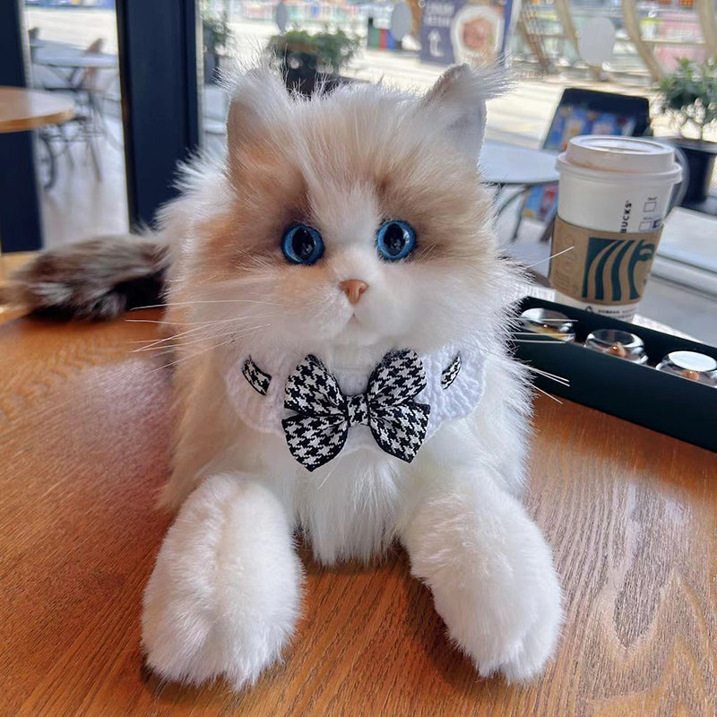 Ragdoll Cat Plush Kitten