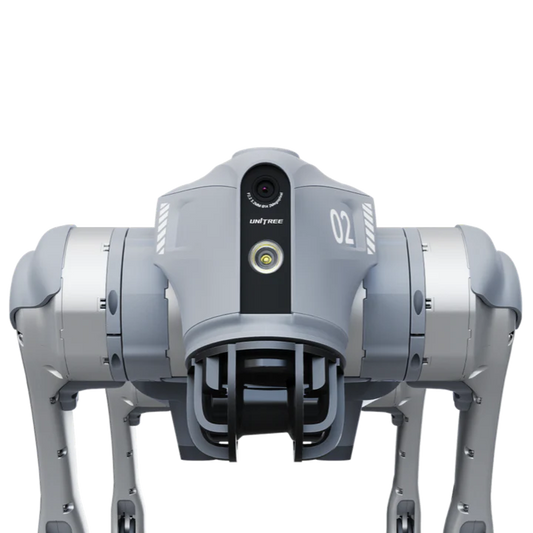 Robot Dog Go2