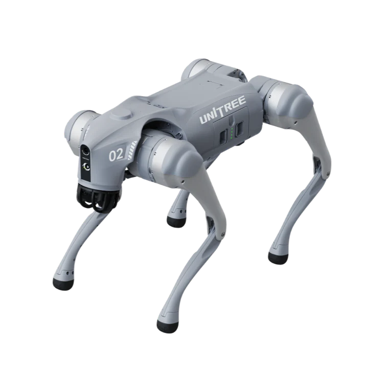 Robot Dog Go2