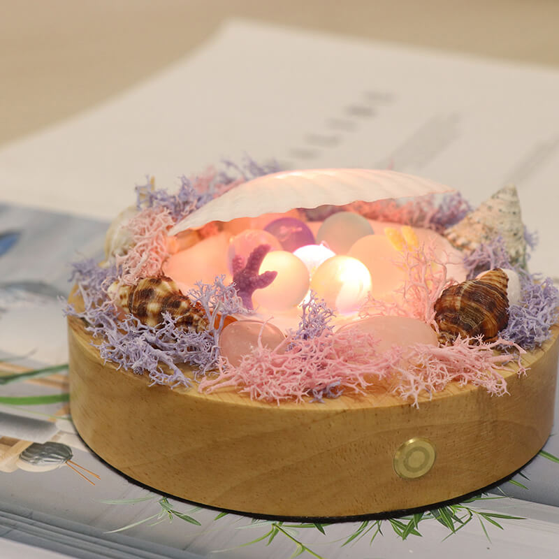 Shell Night Lamp