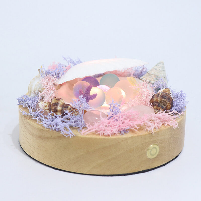 Shell Night Lamp