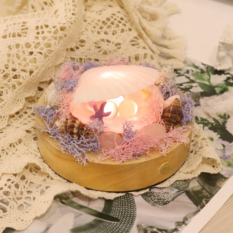 Shell Night Lamp