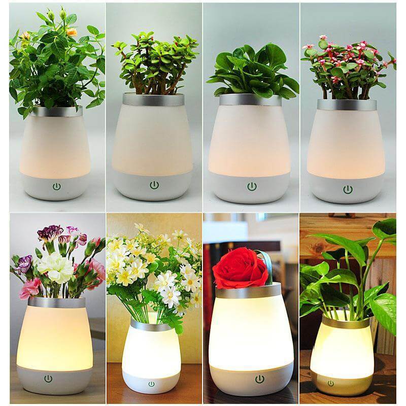 Süße Vase Nachtlampe