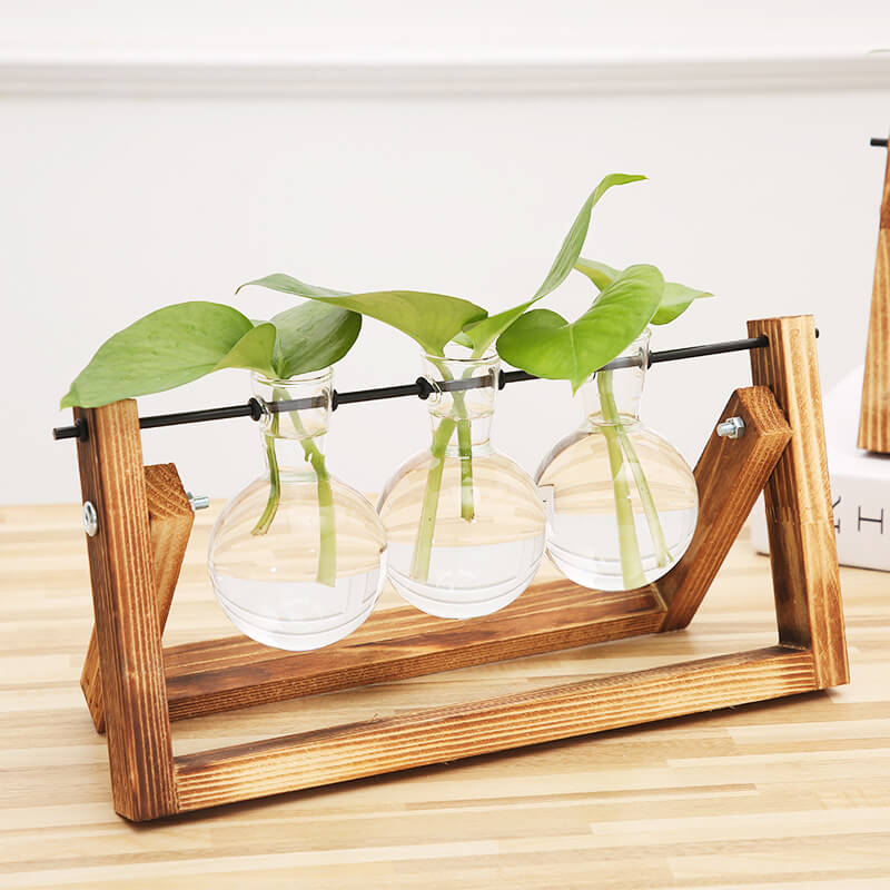 Vase hydroponique avec cadre en bois