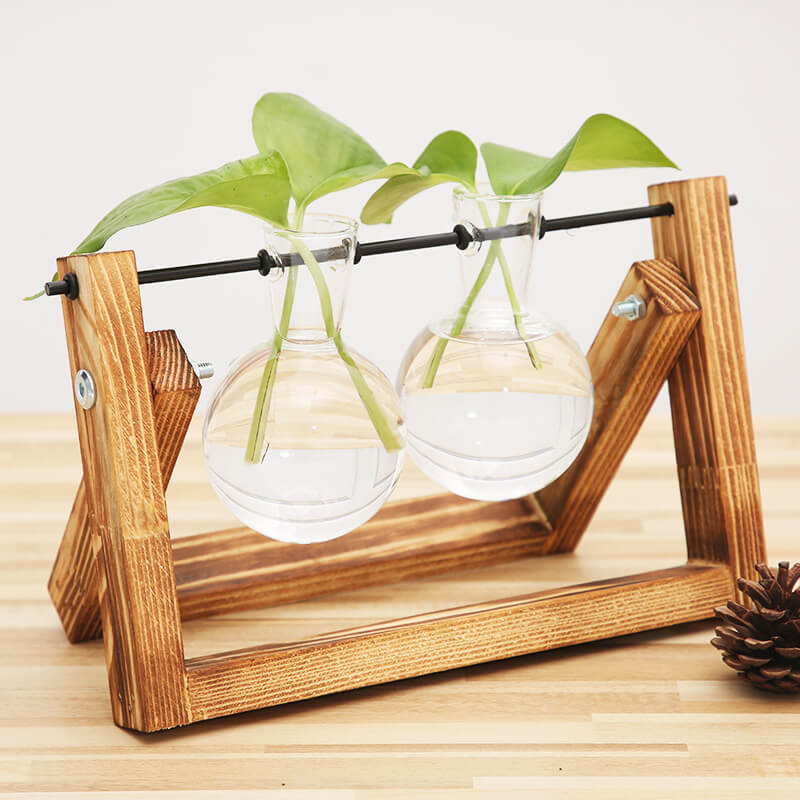 Vase hydroponique avec cadre en bois