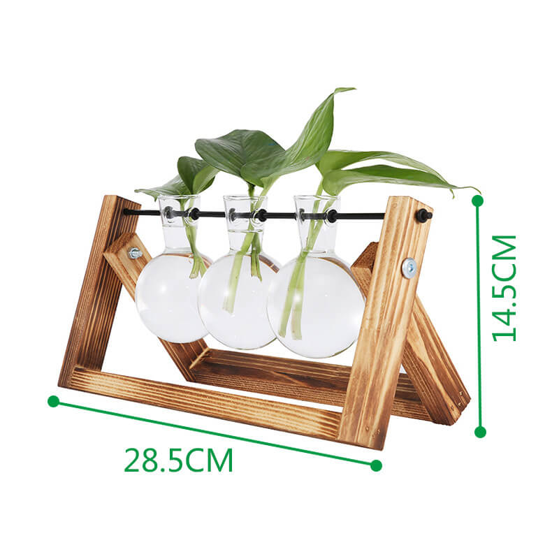 Vase hydroponique avec cadre en bois