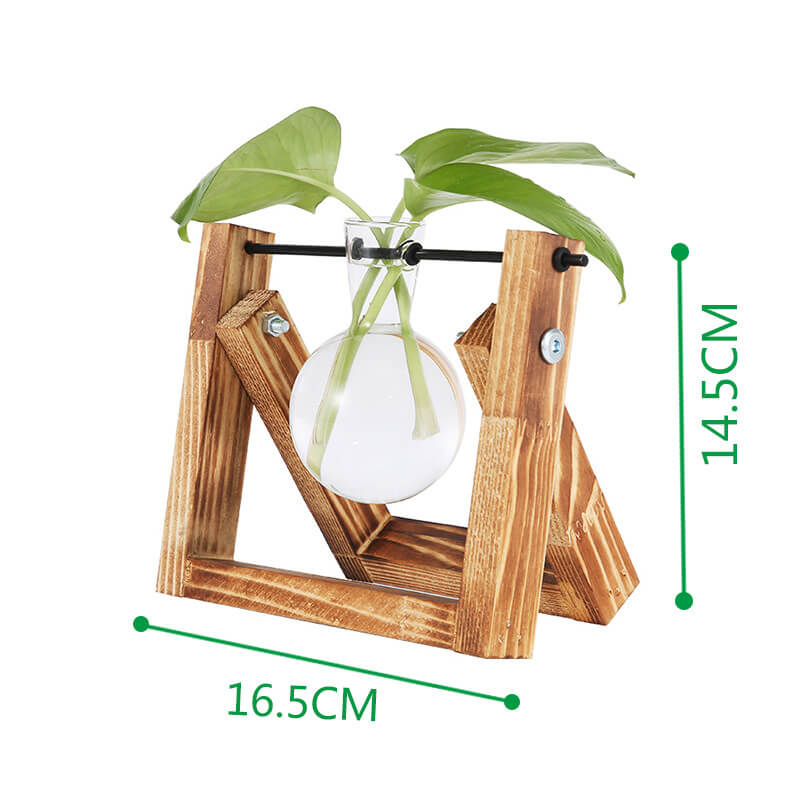 Vase hydroponique avec cadre en bois