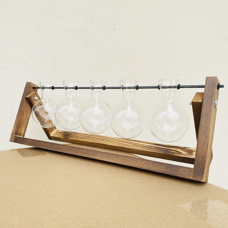 Vase hydroponique avec cadre en bois