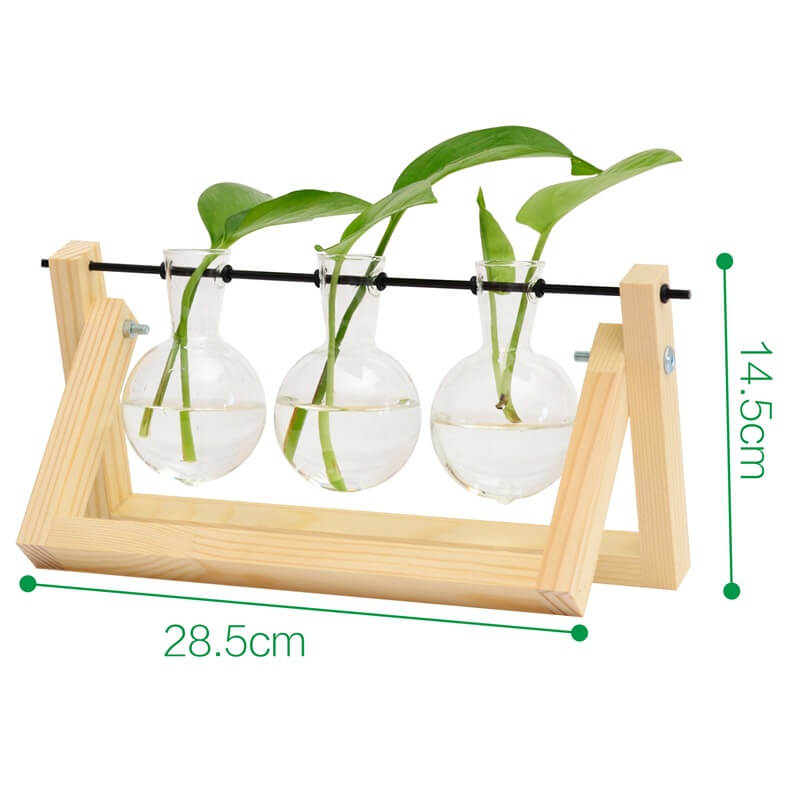 Vase hydroponique avec cadre en bois