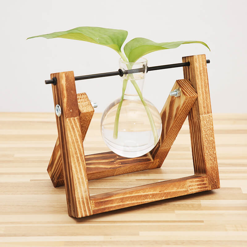 Vase hydroponique avec cadre en bois