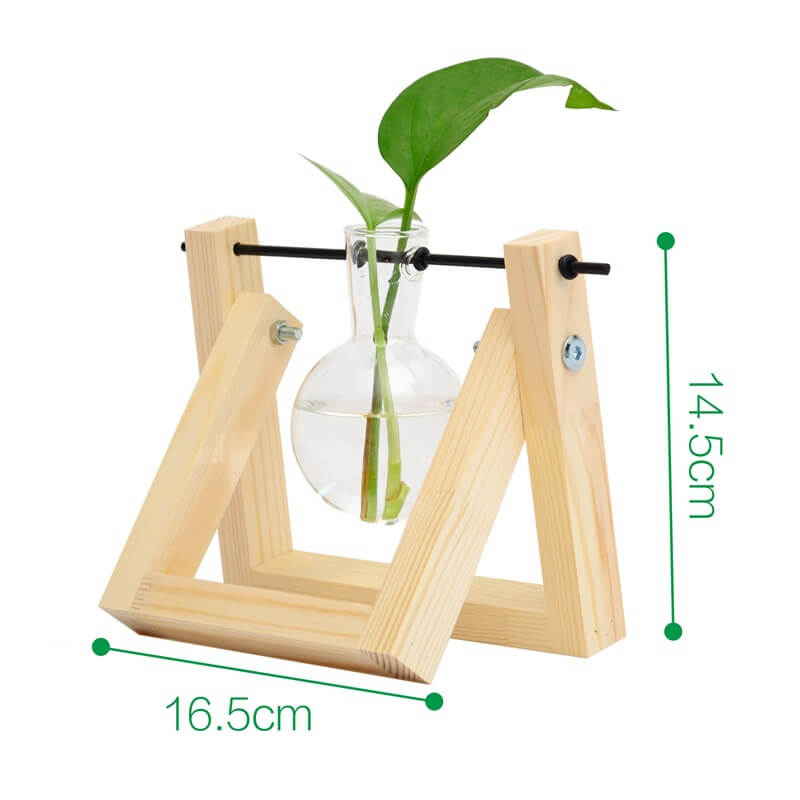 Vase hydroponique avec cadre en bois