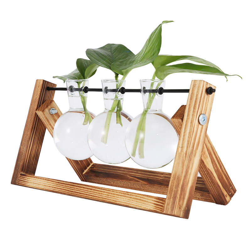 Vase hydroponique avec cadre en bois