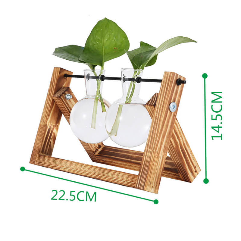 Vase hydroponique avec cadre en bois
