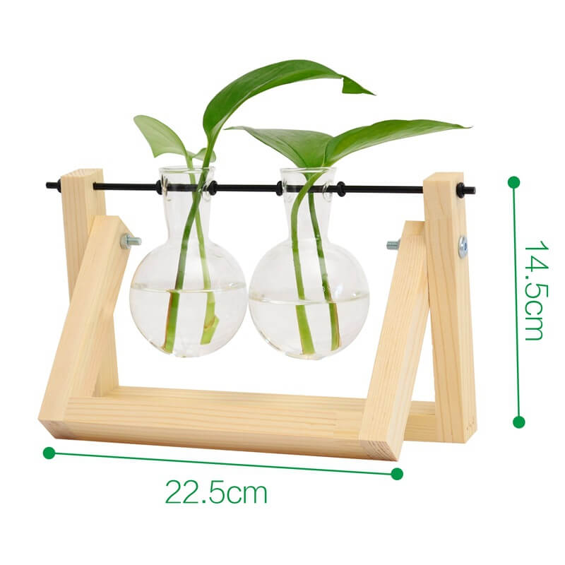 Vase hydroponique avec cadre en bois