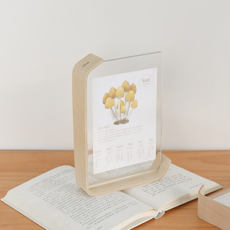 Acrylic Creative Photo Frames