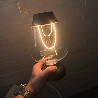 Flexible Filament Desk Lamp