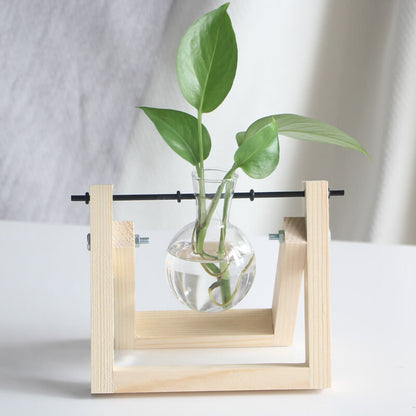 Hydroponic Plant Glass Vase