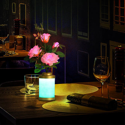 LED Creative Vase Light