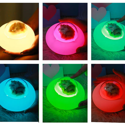 Pet Spaceship Silicone Lamp