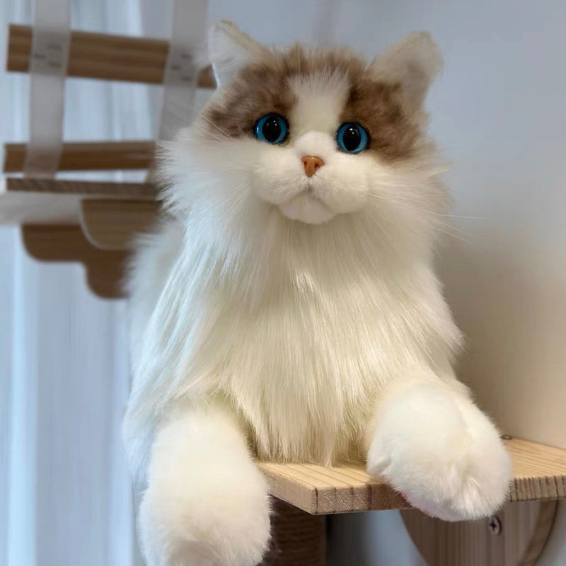 Ragdoll Cat Plush Kitten
