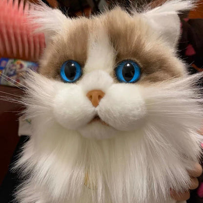 Ragdoll Cat Plush Kitten