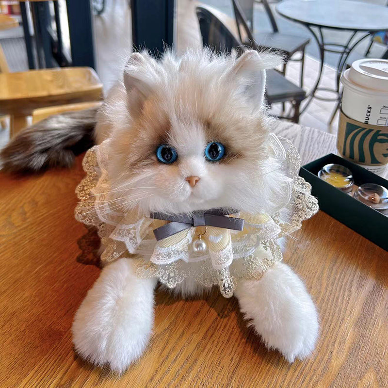 Ragdoll Cat Plush Kitten