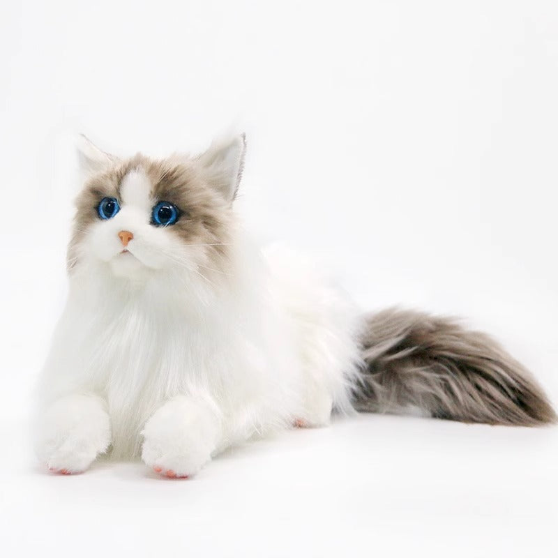 Ragdoll Cat Plush Kitten