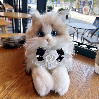 Ragdoll Cat Plush Kitten