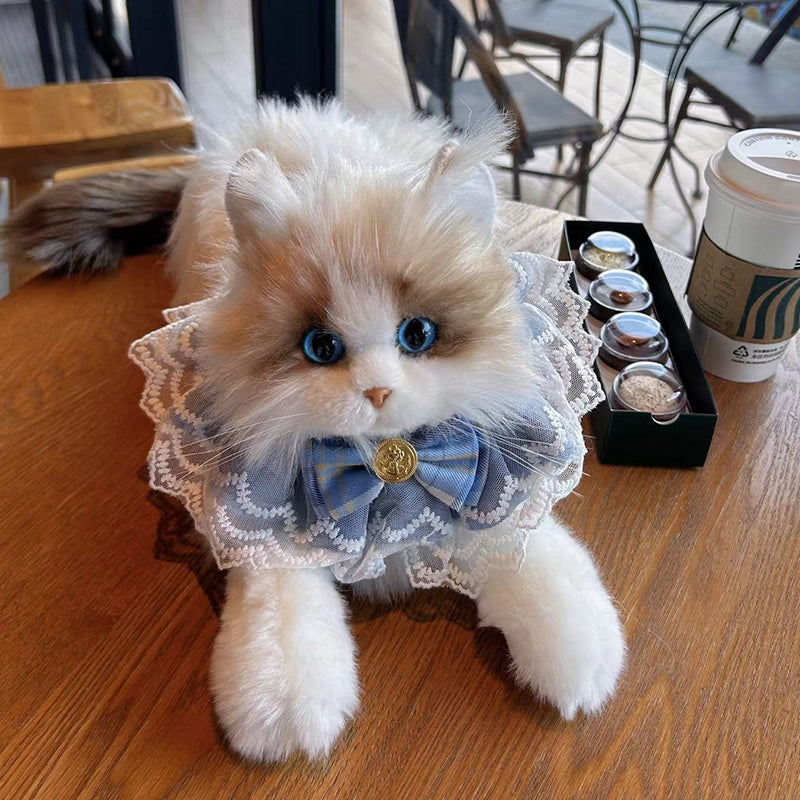 Ragdoll Cat Plush Kitten