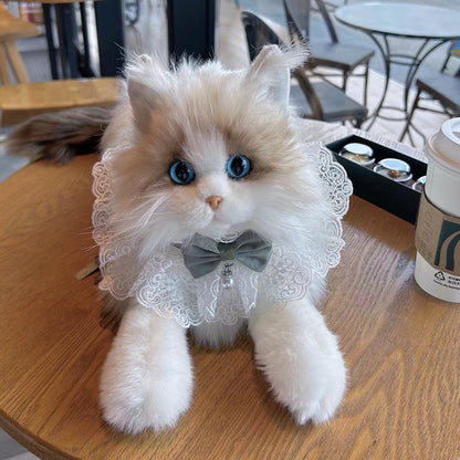 Ragdoll Cat Plush Kitten