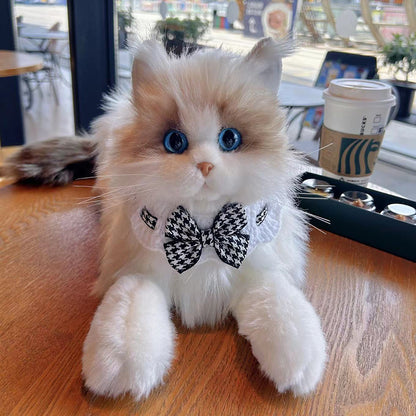 Ragdoll Cat Plush Kitten