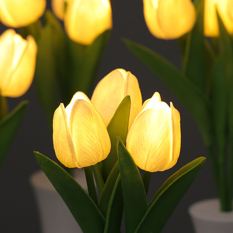 Tulip Night Lamp