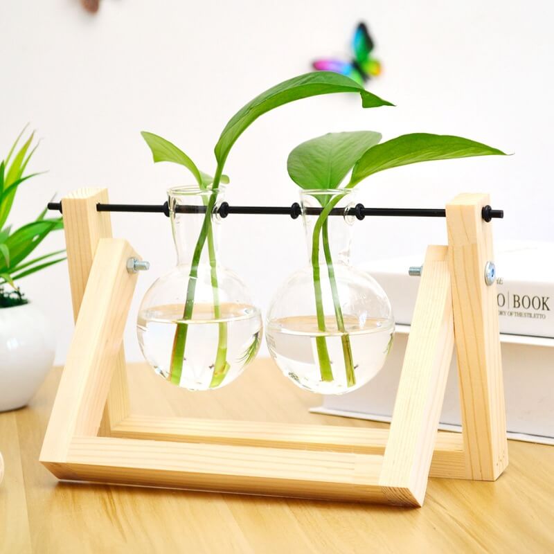 Wooden Frame Hydroponic Vase